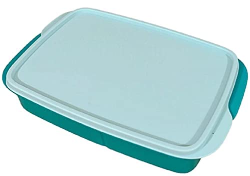 Tupperware Lunch Box - 1litr