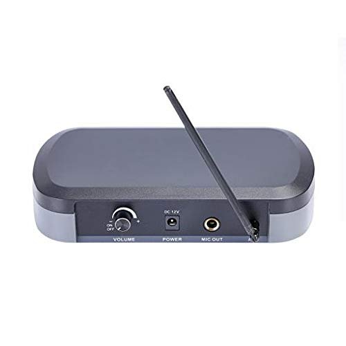 GEEPAS PROFESSIONAL WIRELESS MICROPHONE - GMP15011