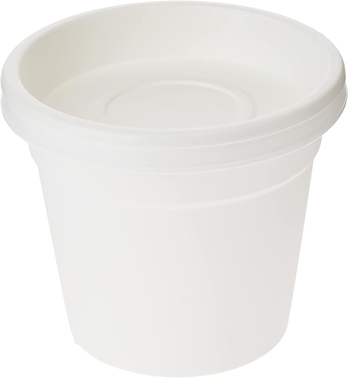 Cosmoplast Plastic Round Flowerpot 6” with Tray-P