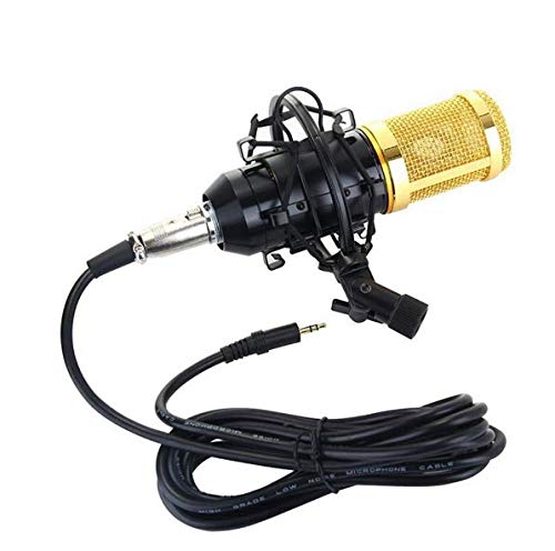 SKEIDO BM800 Professional Studio Broadcasting Recording Condenser Microphone Set