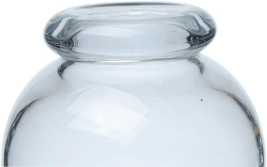 HARMONY GLASS FLOWER VASE CLEAR