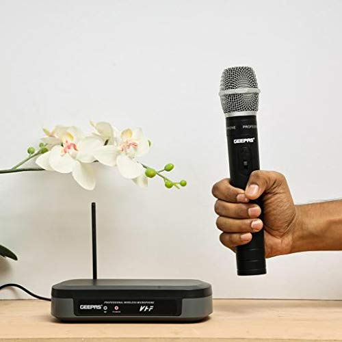 GEEPAS PROFESSIONAL WIRELESS MICROPHONE - GMP15011