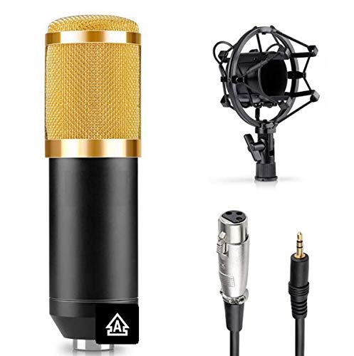 SKEIDO BM800 Professional Studio Broadcasting Recording Condenser Microphone Set