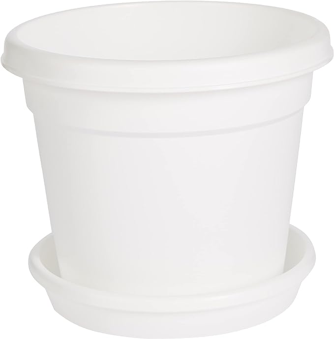 Cosmoplast Plastic Round Flowerpot 6” with Tray-P