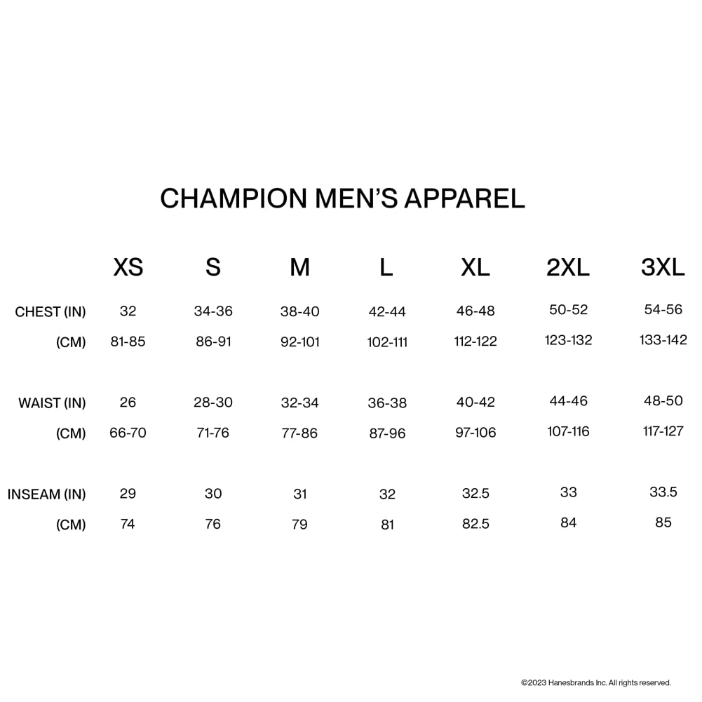 Champion mens Classic Jersey T-shirt Shirt (pack of 1)