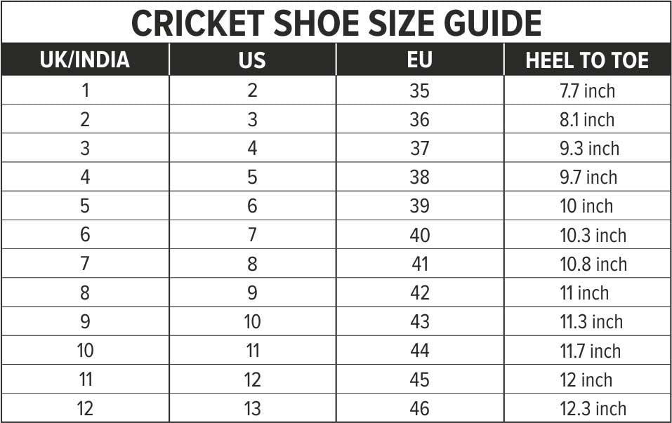 DSC Court 44 Badminton Shoes mens Badminton Shoes