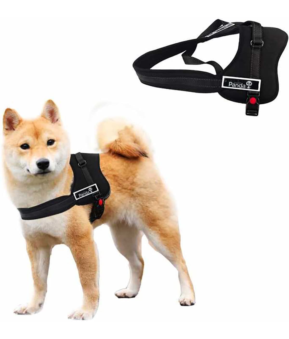 Golden Panda K8 Harness, Black Sizes: L