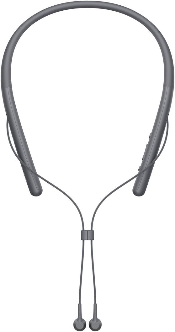 Sony Wi-H700 Hi-Res Wireless In Ear Headphone | Bluetooth | Wih700/B (Black)