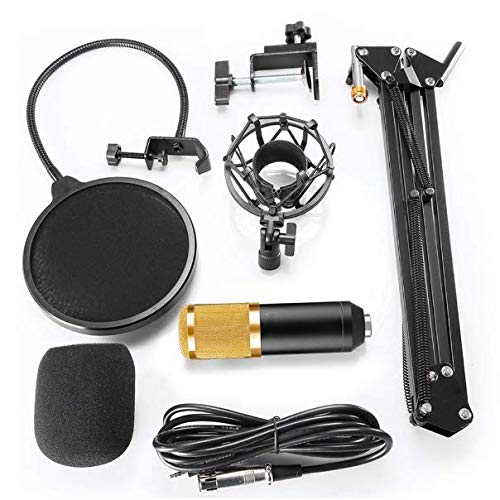 SKEIDO BM800 Professional Studio Broadcasting Recording Condenser Microphone Set