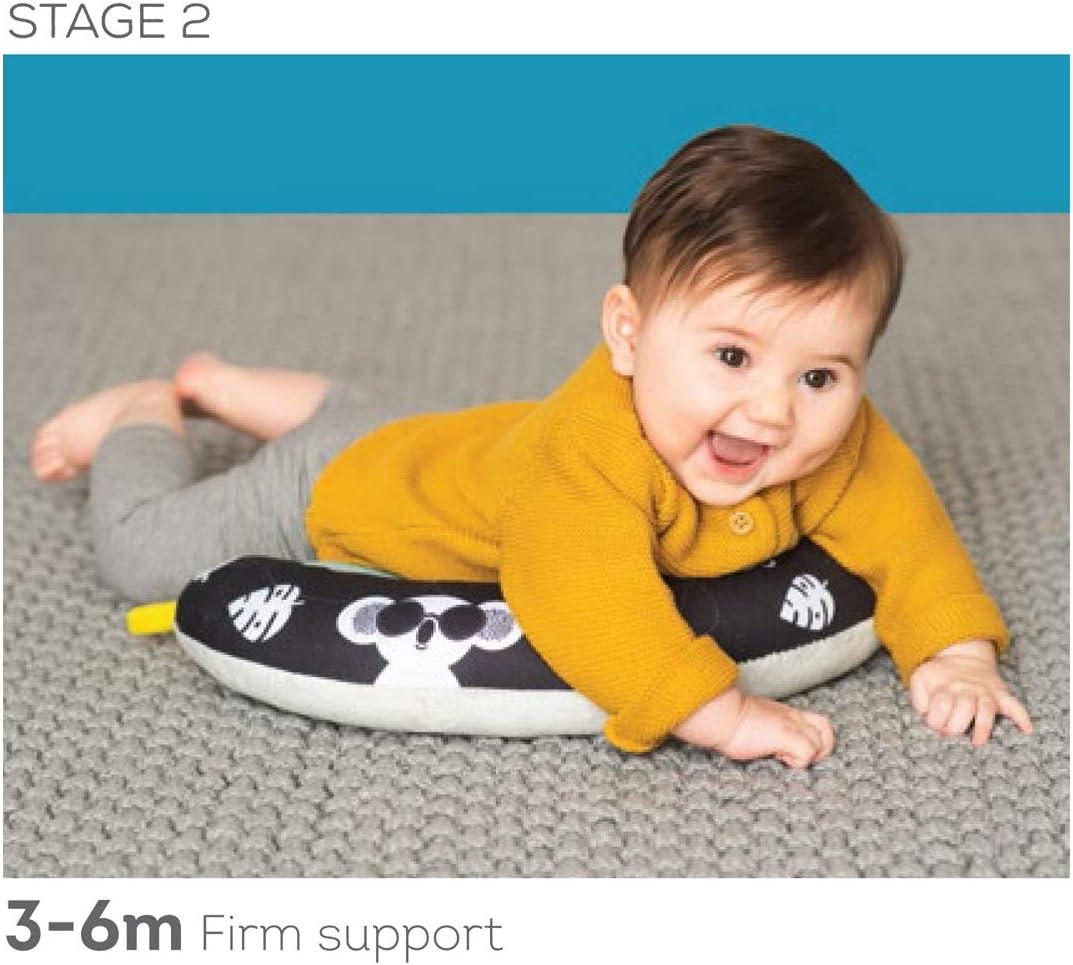 Taf Toys 2 in 1 Tummy-Time Soft Baby Developmental Pillow for 0-5 Months, Newborns and Infants Fun Play Time on Tummy