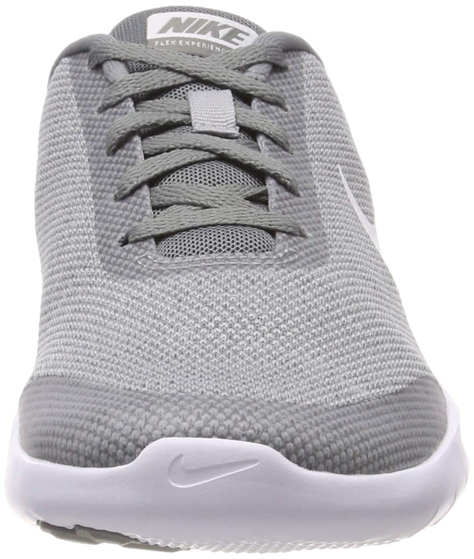 Nike W Nike Flex Experience Rn 7 womens Low-Top Sneakers