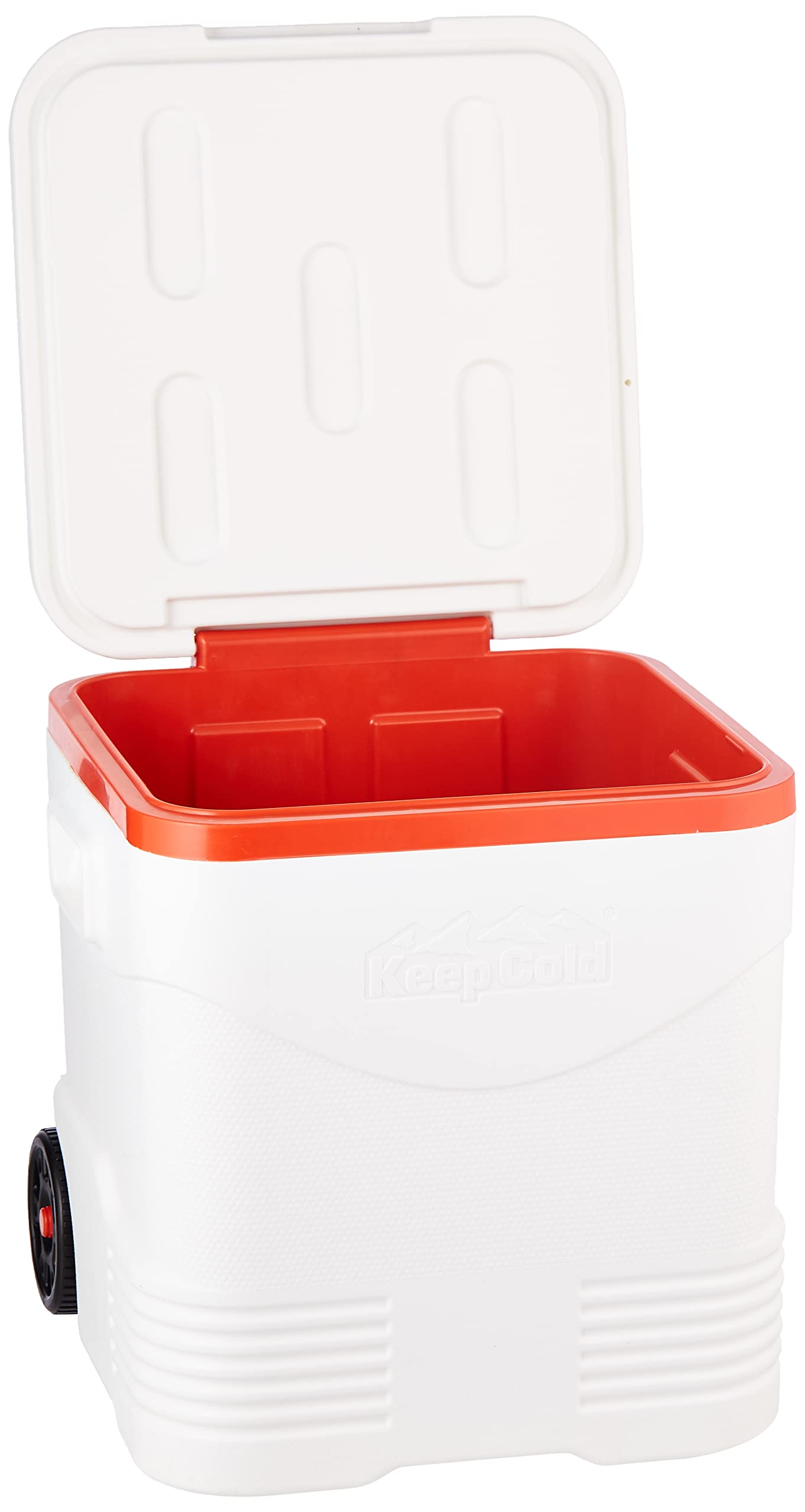 Cosmoplast Keep Cold Plastic Picnic Trolley Icebox Roller Cooler with ...