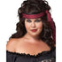 California Costumes Plus Size Pirate Wench Costume, Multicolored, XXL