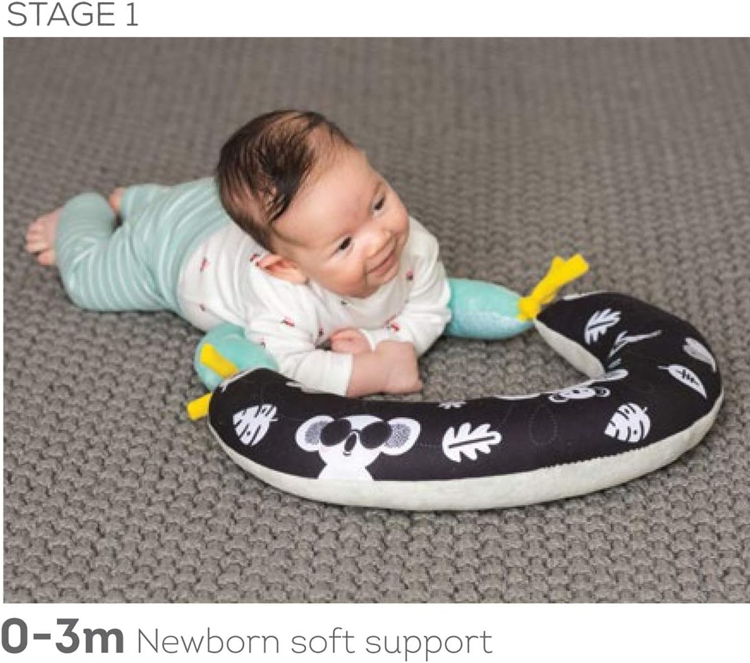 Taf Toys 2 in 1 Tummy-Time Soft Baby Developmental Pillow for 0-5 Months, Newborns and Infants Fun Play Time on Tummy