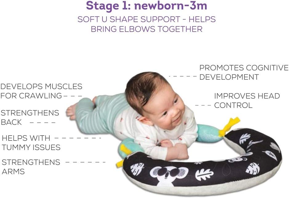Taf Toys 2 in 1 Tummy-Time Soft Baby Developmental Pillow for 0-5 Months, Newborns and Infants Fun Play Time on Tummy