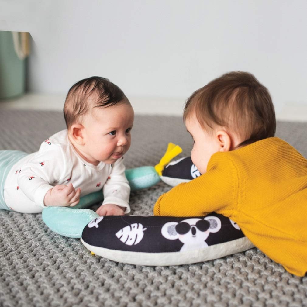 Taf Toys 2 in 1 Tummy-Time Soft Baby Developmental Pillow for 0-5 Months, Newborns and Infants Fun Play Time on Tummy