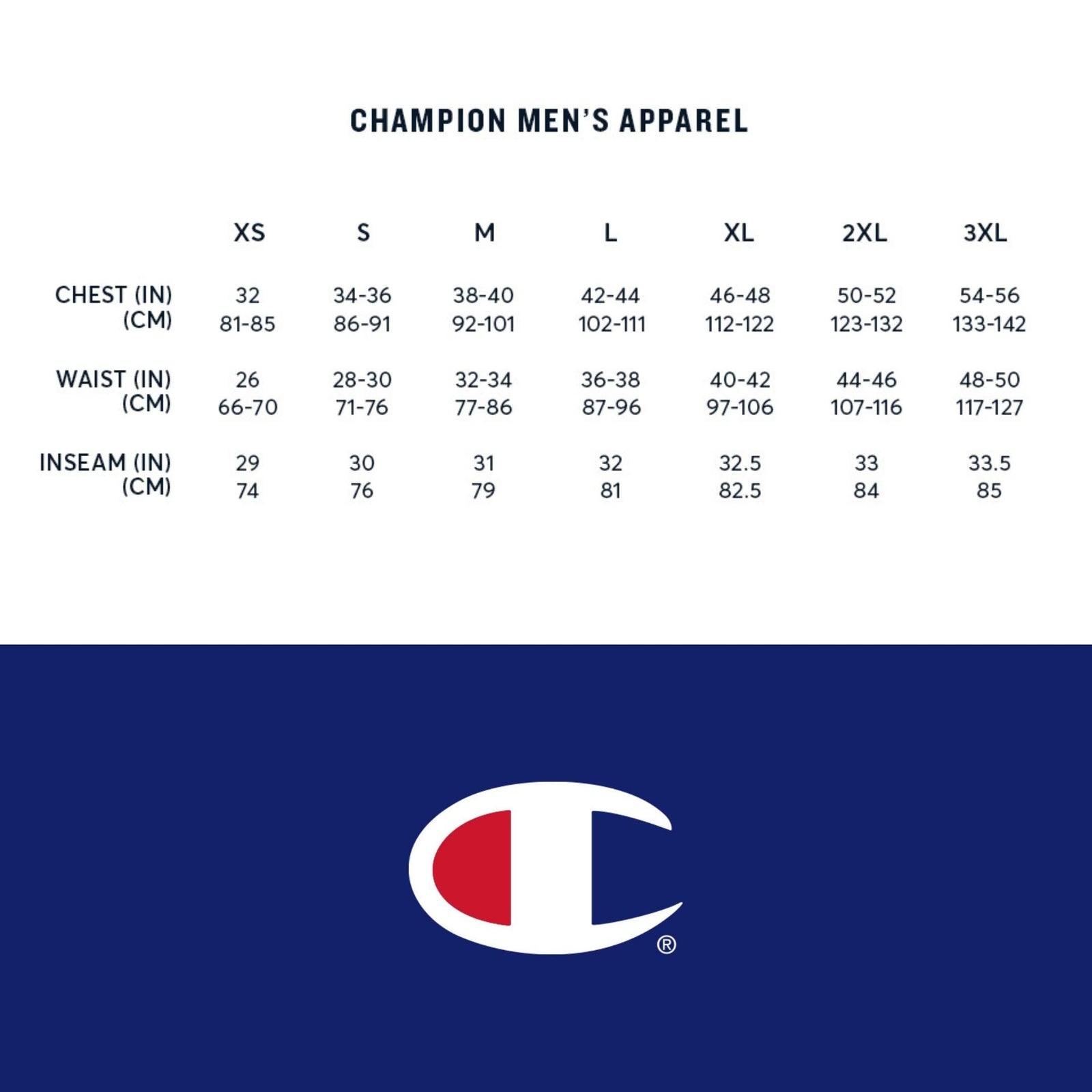 Champion Men's Graphic Powerblend Fleece Hoodie