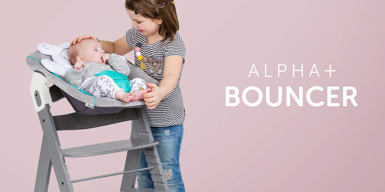 Hauck Alpha Bouncer