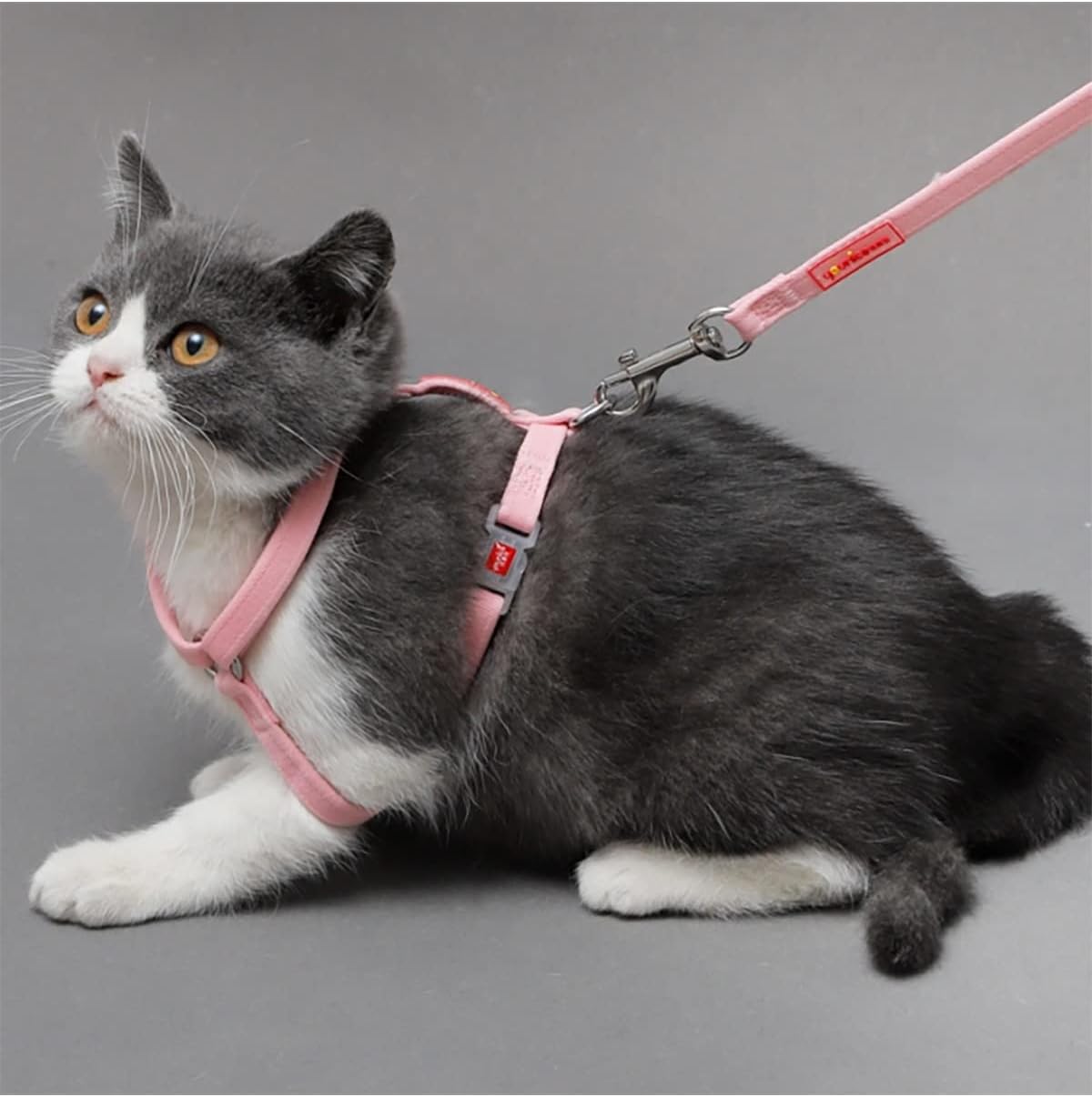 Golden Panda Cat Harness Lead Set 10mm x 36-50cm, Lead 130cm