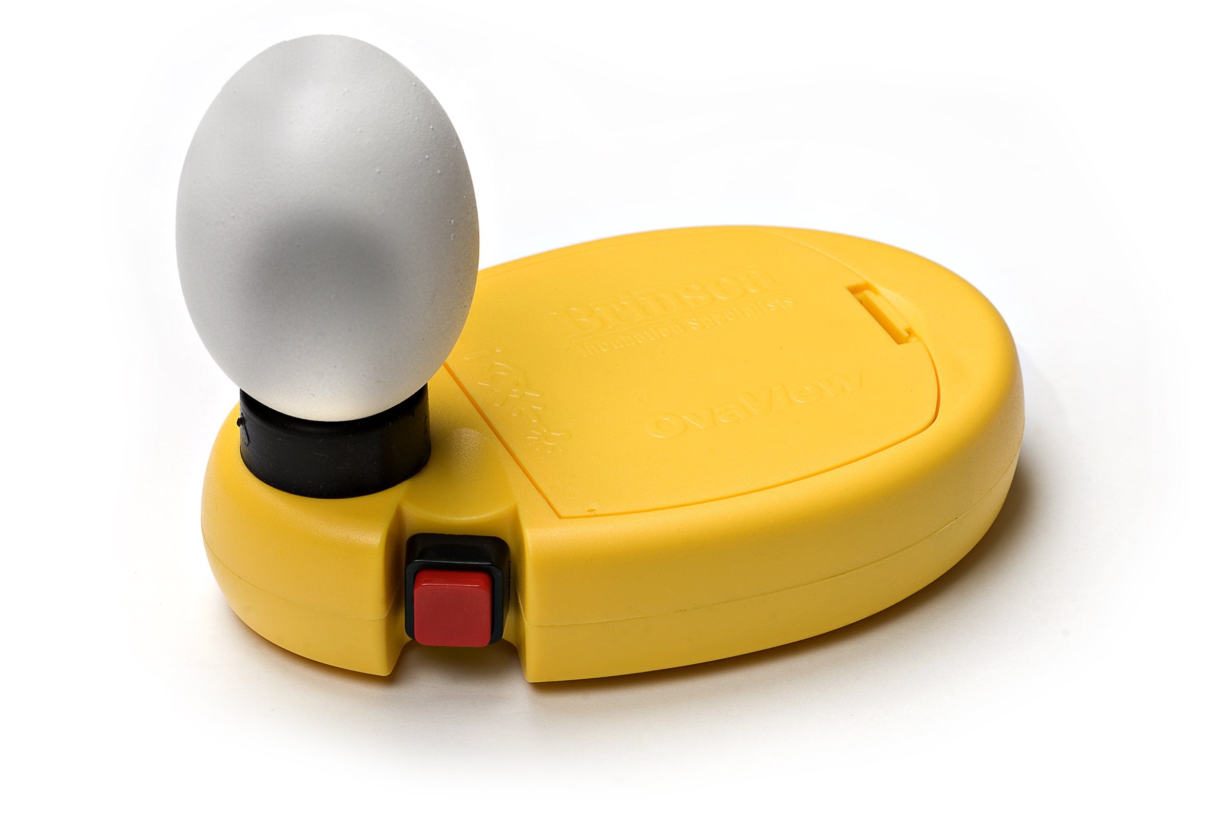 Brinsea Products Candling Lamp for Monitoring Embryo Development in Eggs