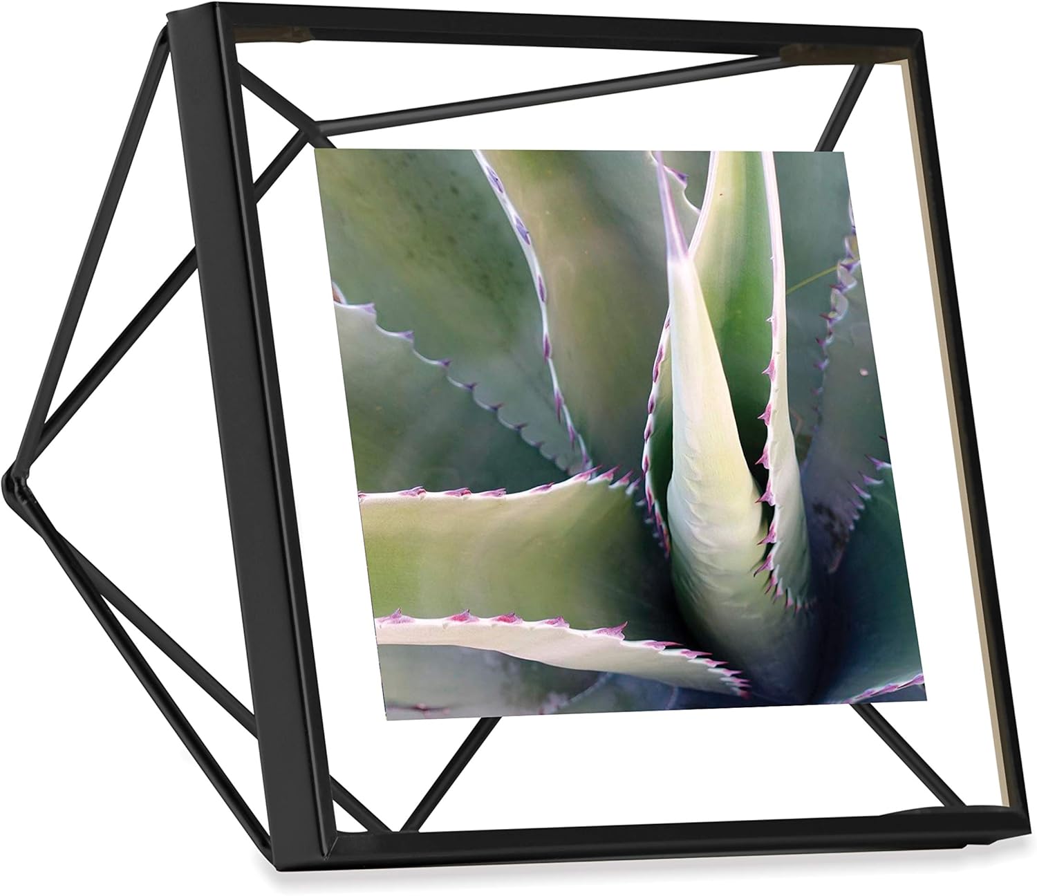 Umbra Prisma Multi Picture Frame – Photo Display for Desk or Wall, Chrome