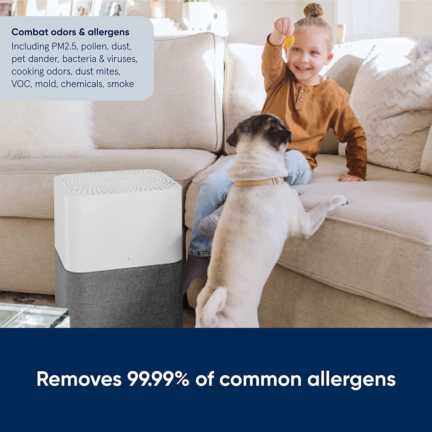 Blueair Air Purifier-Blue 3610 Cleans Upto 2640sqft, 600m³/h CADR, Air Quality Indicator, HEPASilent Technology Removes 99.97% Pollen, Dust, Mould, Bacteria, Viruses, VOCs, Odours