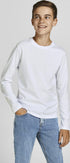 Jack & Jones Junior Boy's Jjeorganic Basic Tee Ls O-neck Noos Jr Long Sleeve Top