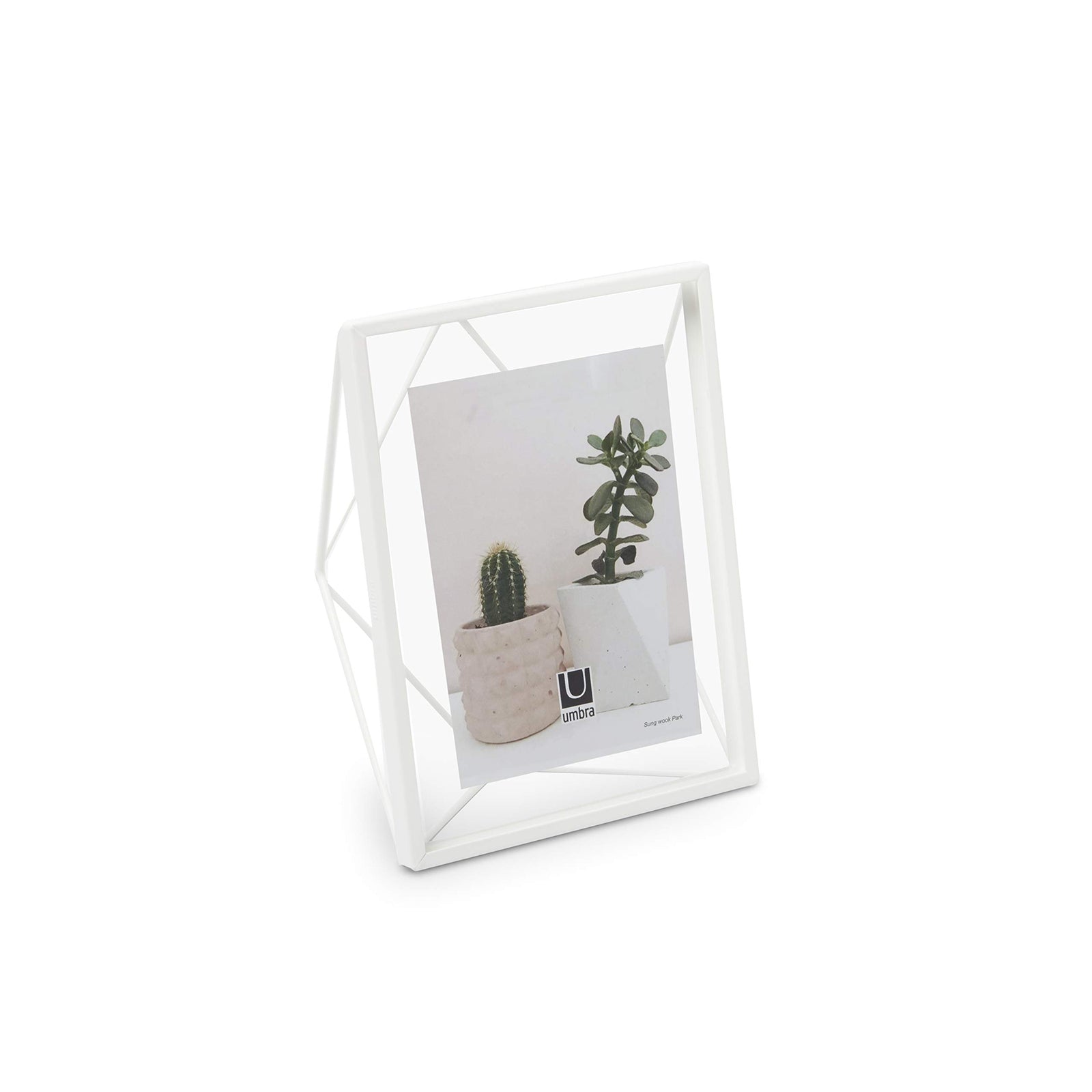 Umbra Prisma Multi Picture Frame – Photo Display for Desk or Wall, Chrome