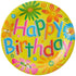 Party happy birthday print paper party plates set, 9 inch, 86399/6 multi color set of 6