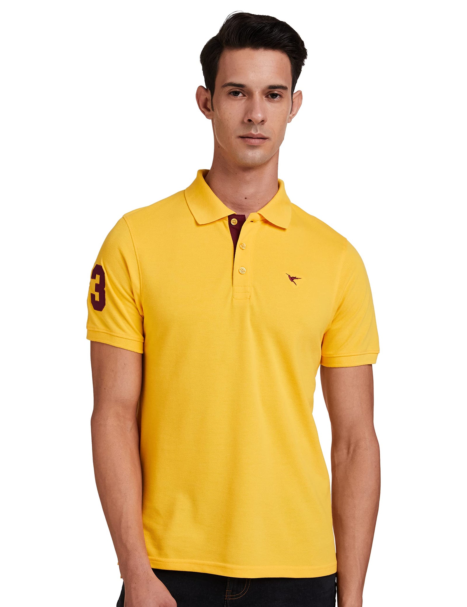 Deniklo Men's Solid Regular fit Polo Shirt