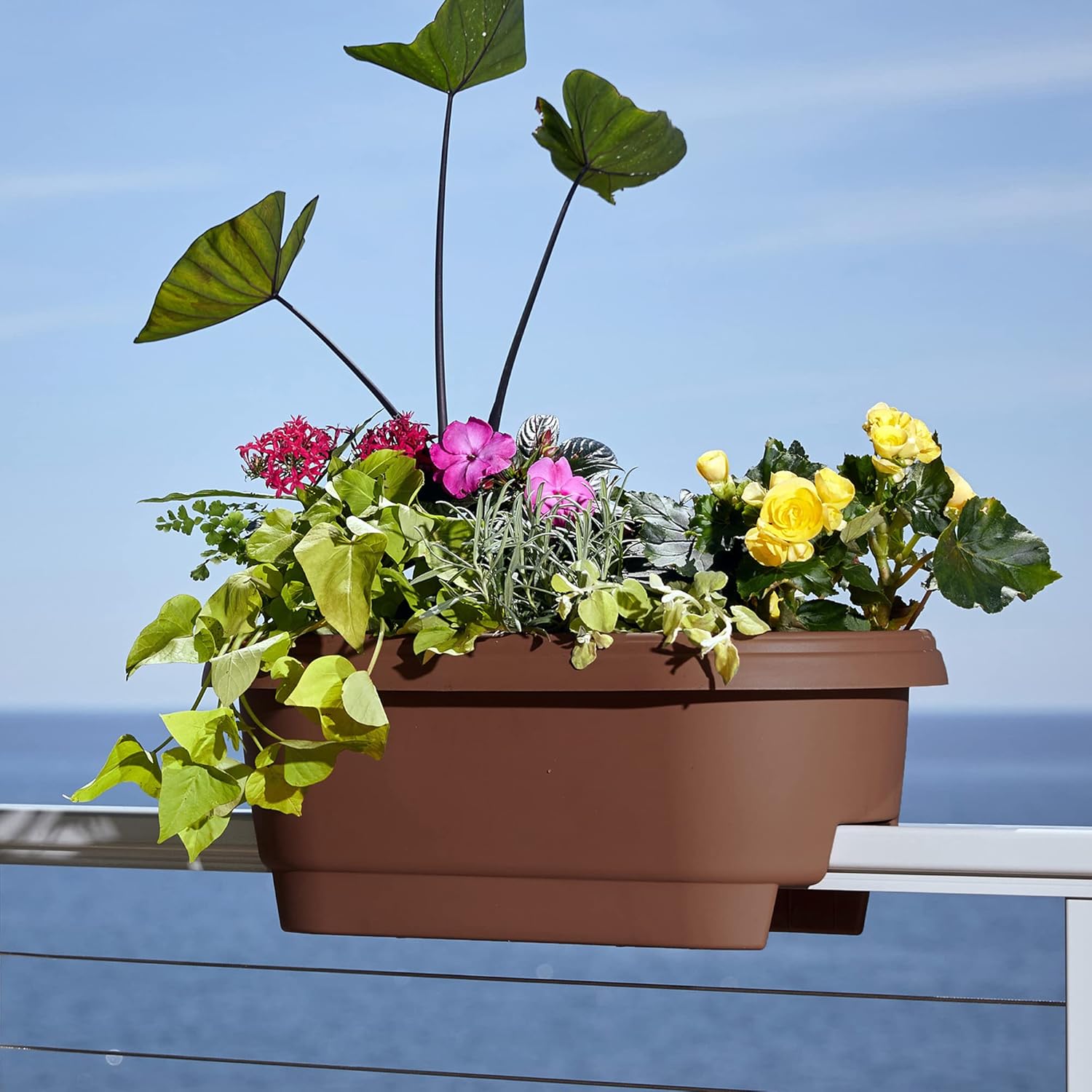 Bloem 24 inch Chocolate Rail Planter