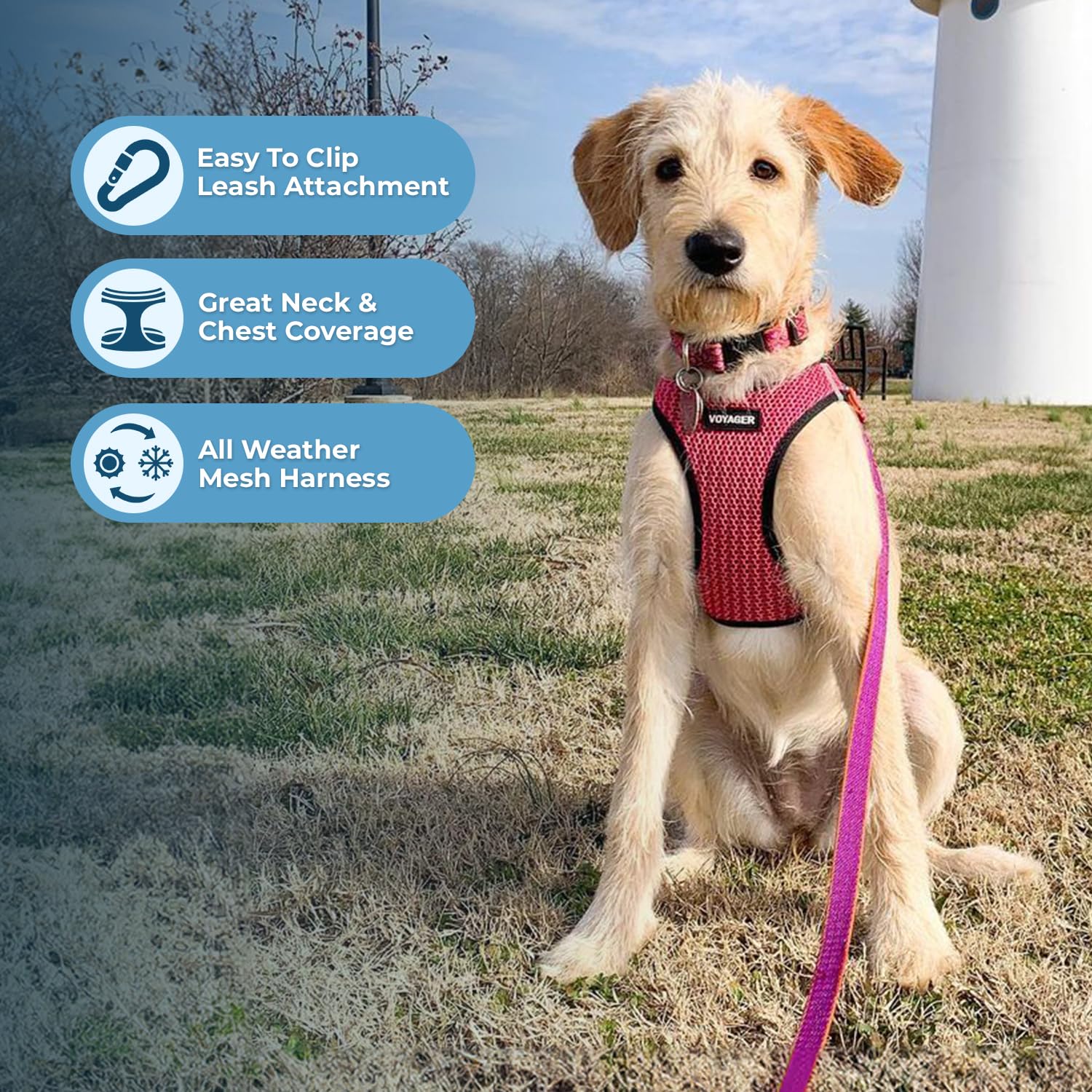 Best Pet Supplies Voyager Step-in Air Dog Harness - All Weather Mesh Step in Vest Harness for Small and Medium Dogs - Fuchsia (2-Tone), XS