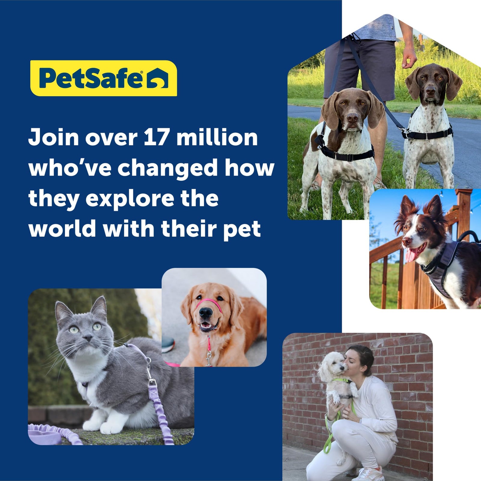 حزام مشي للكلاب من PetSafe - مقاوم للشد، صغير/متوسط، لون فawn