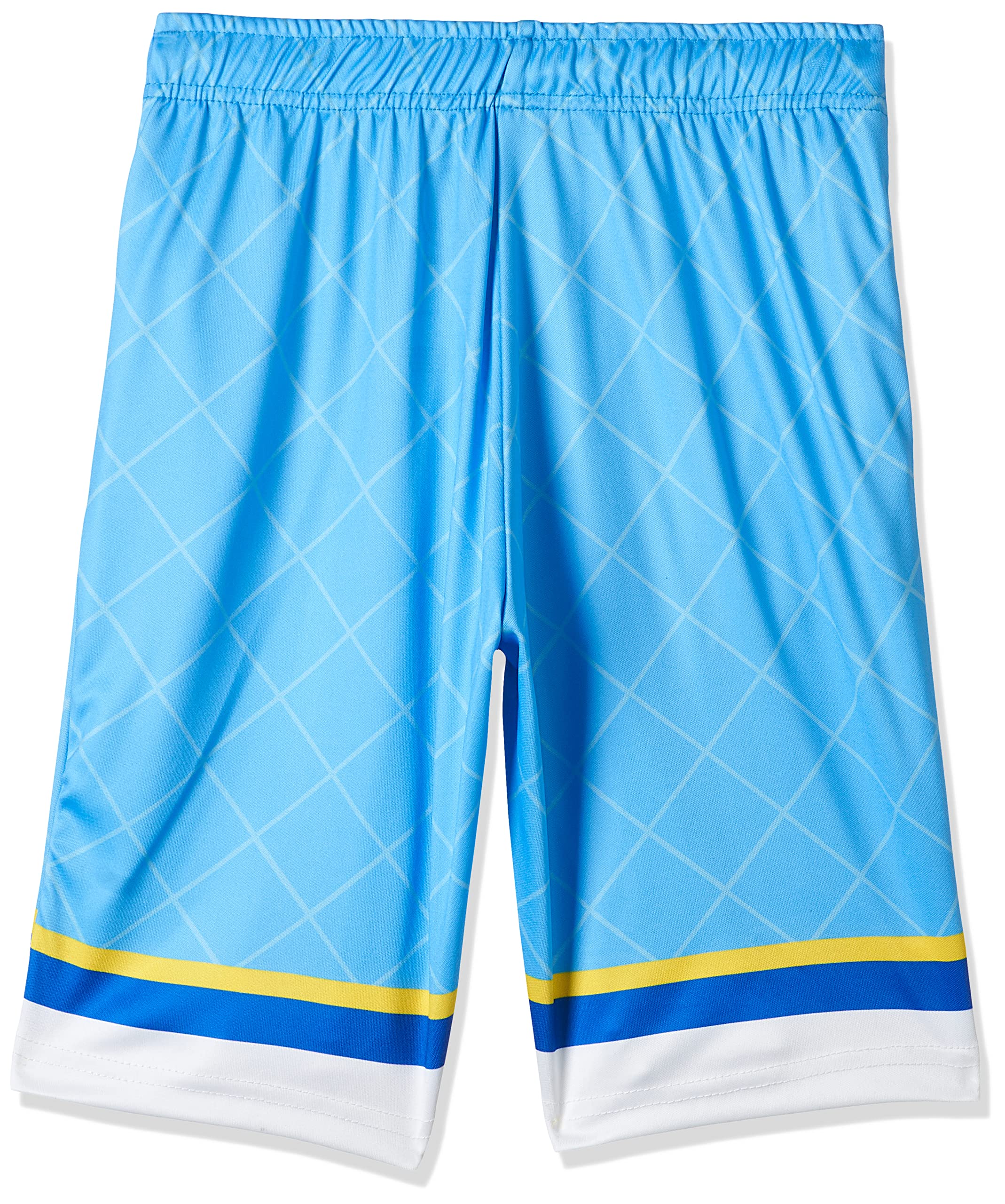 FIFA World Cup Qatar 2022 ARGENITNA MEN'S SHORTS - BLUE