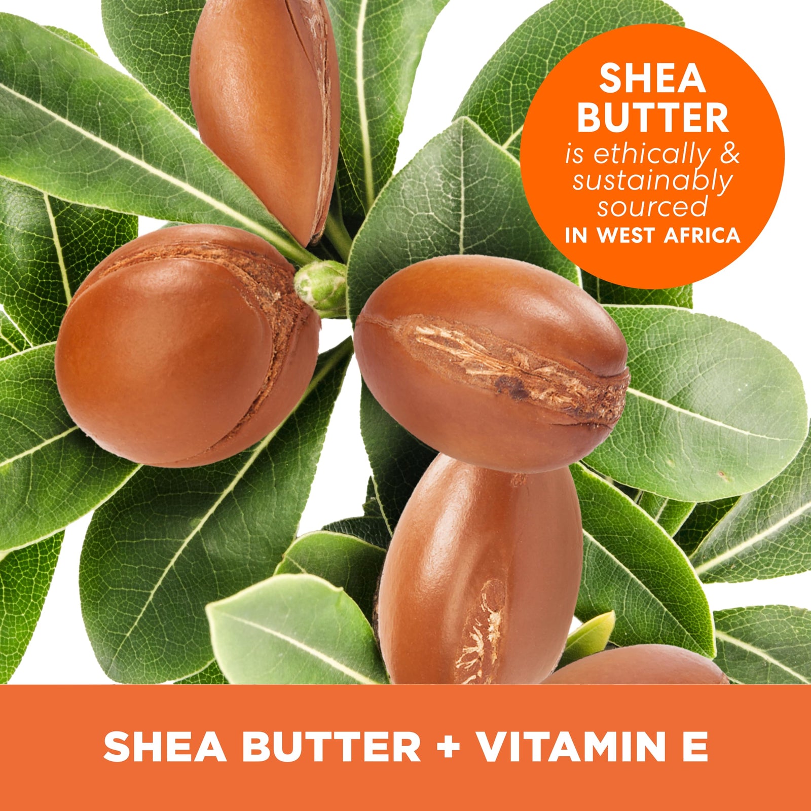 Palmer’s Shea Formula Raw Shea Body Butter Balm, 7.25 Ounces