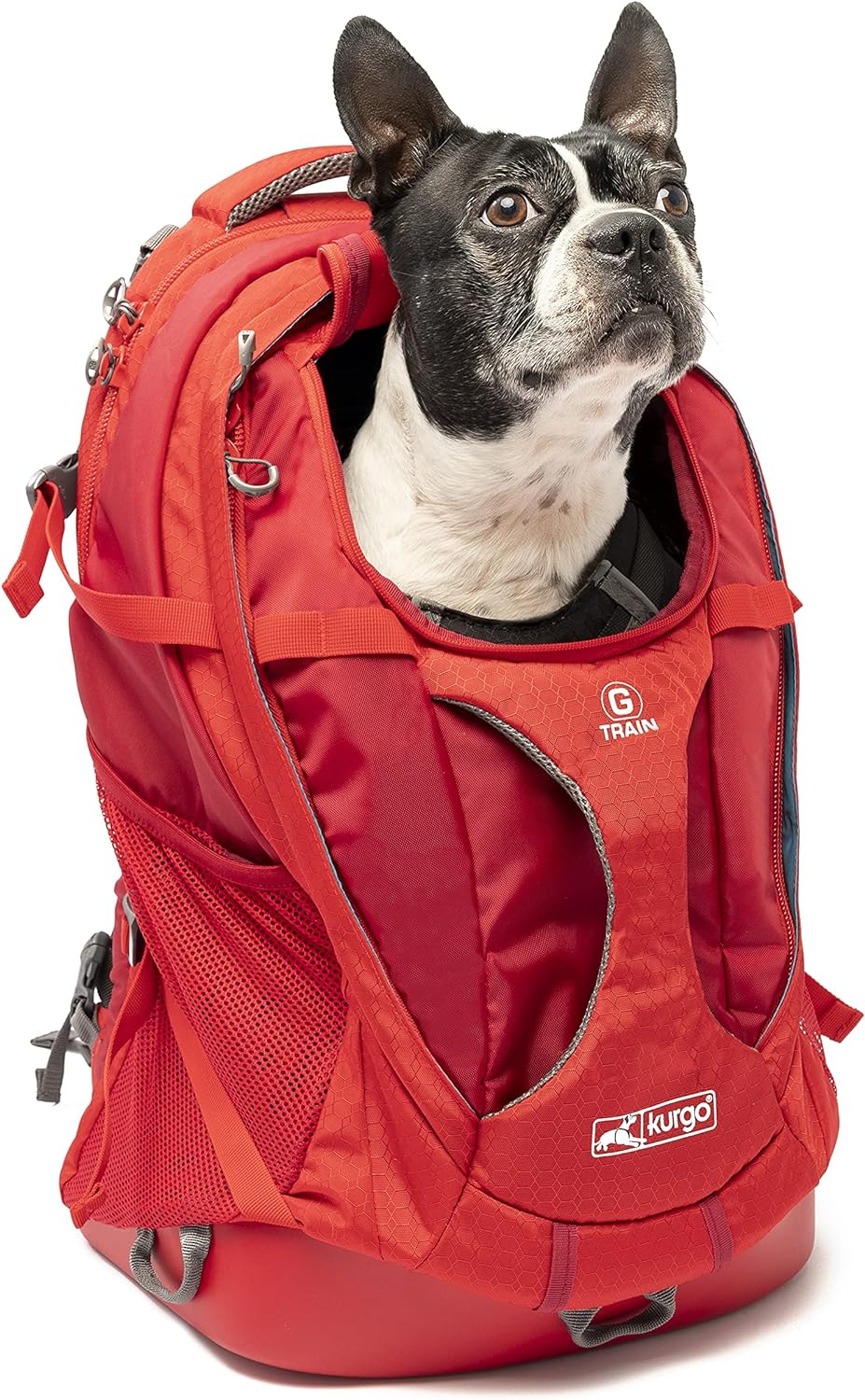 Kurgo Dog Carrier Backpack for Small Dogs and Cats, G-Train Pet Backpack Carrier, Airline Approved, Cat Backpack, Small Dog Backpack for Hiking and Travel, Waterproof Bottom - Red