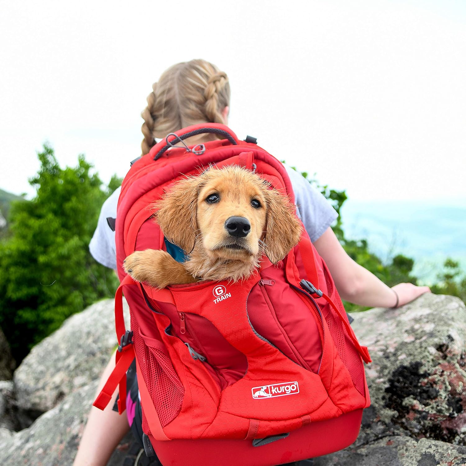 Kurgo Dog Carrier Backpack for Small Dogs and Cats, G-Train Pet Backpack Carrier, Airline Approved, Cat Backpack, Small Dog Backpack for Hiking and Travel, Waterproof Bottom - Red