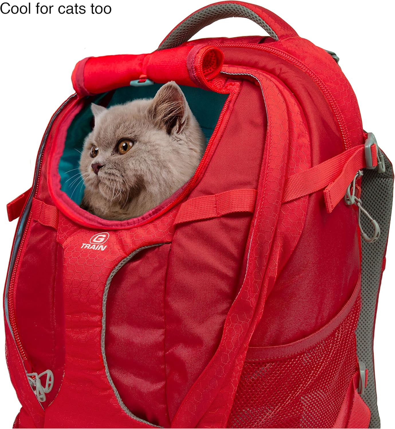 Kurgo Dog Carrier Backpack for Small Dogs and Cats, G-Train Pet Backpack Carrier, Airline Approved, Cat Backpack, Small Dog Backpack for Hiking and Travel, Waterproof Bottom - Red