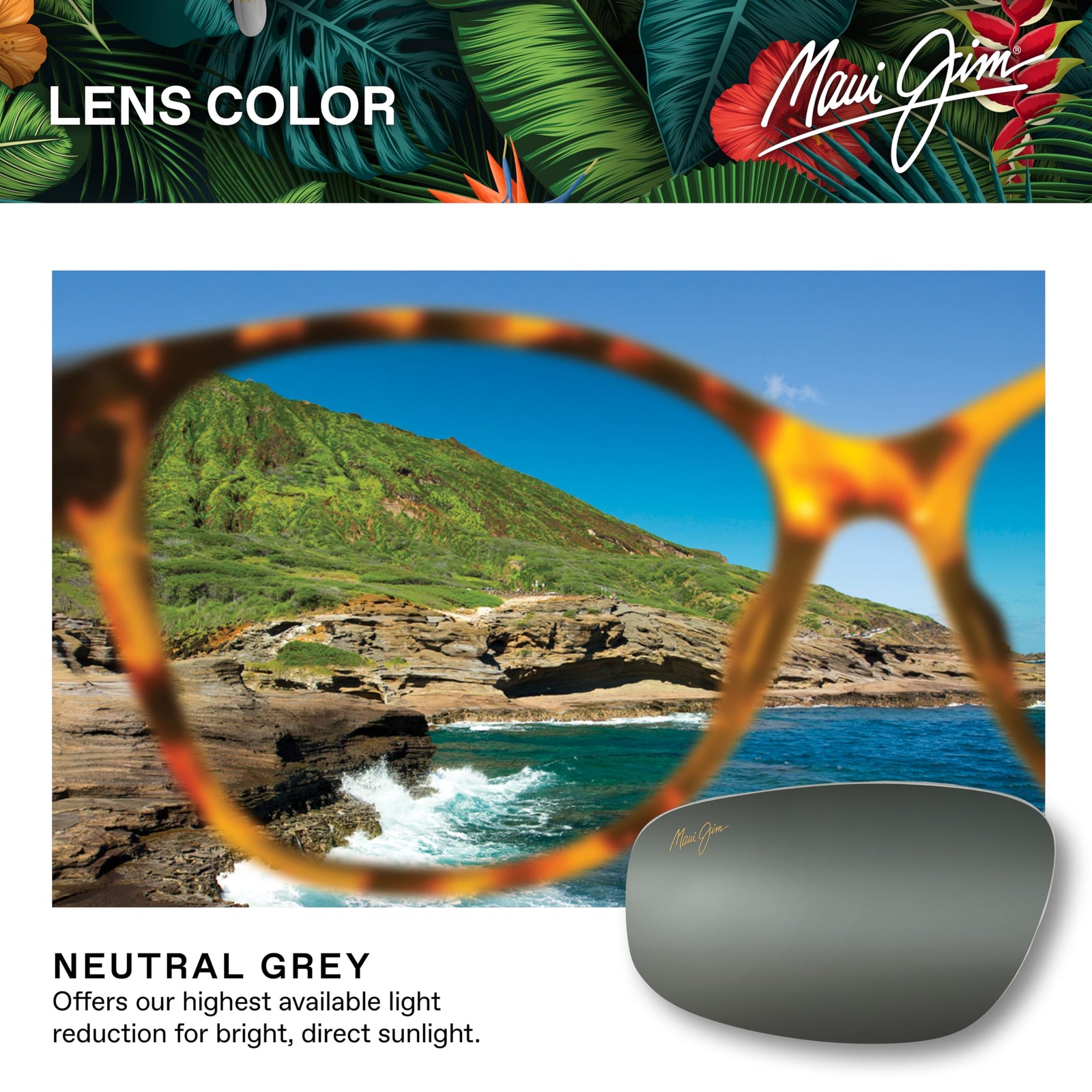 Maui Jim Women's Cliff House Aviator Sunglasses