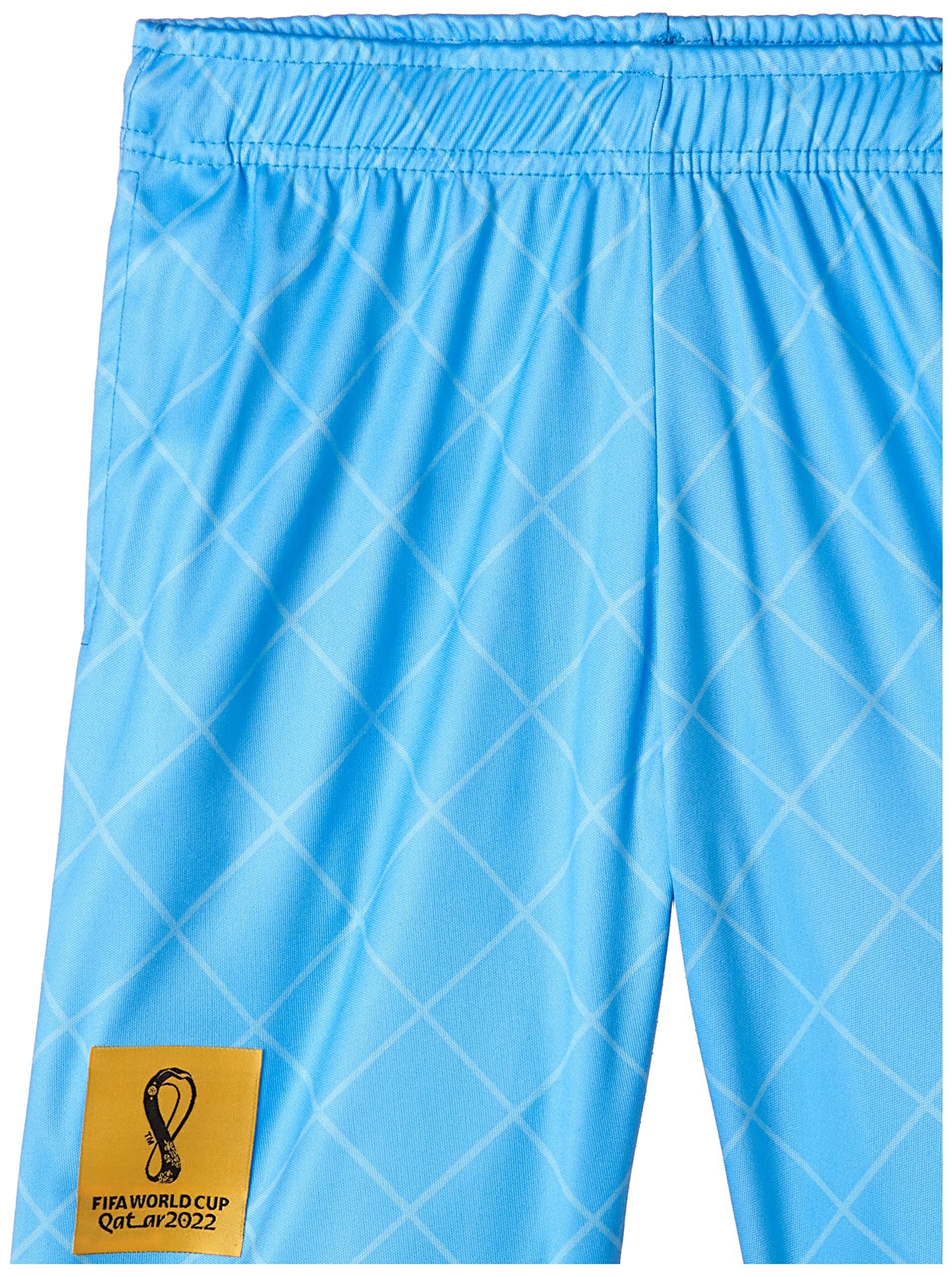 FIFA World Cup Qatar 2022 ARGENITNA MEN'S SHORTS - BLUE