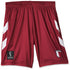 FIFA World Cup Qatar 2022 QATAR MEN'S SHORTS - BURGUNDY