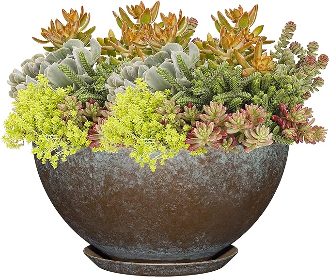 Classic Home and Garden 9010D-377R Premiere Collection Planter, Rosie 10