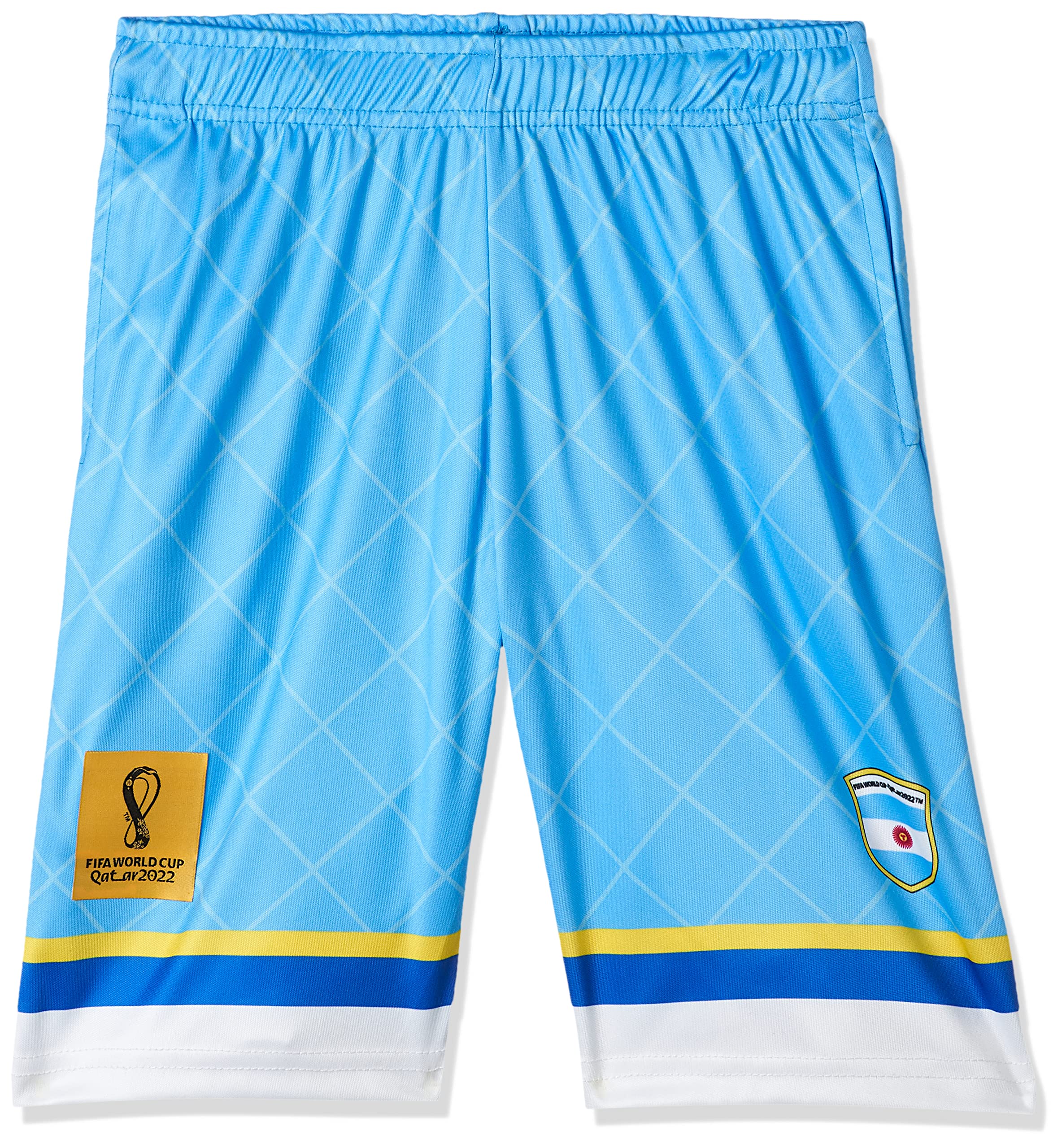 FIFA World Cup Qatar 2022 ARGENITNA MEN'S SHORTS - BLUE