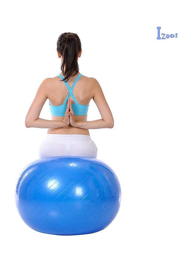 Generic Anti Burst Gym Exercise Ball With Air Pump