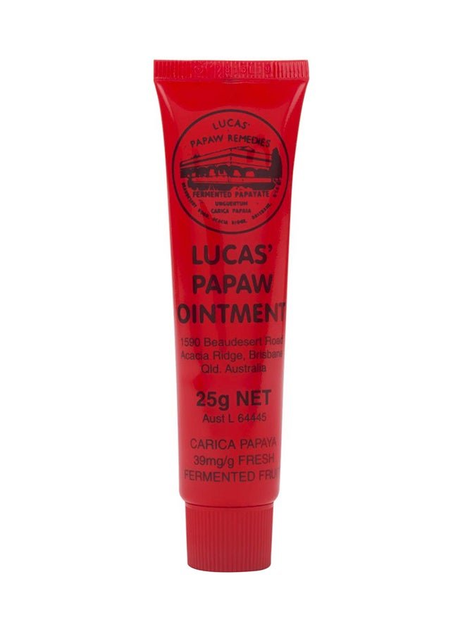 LUCAS Papaw Ointment Lip Applicator - 25 Grams