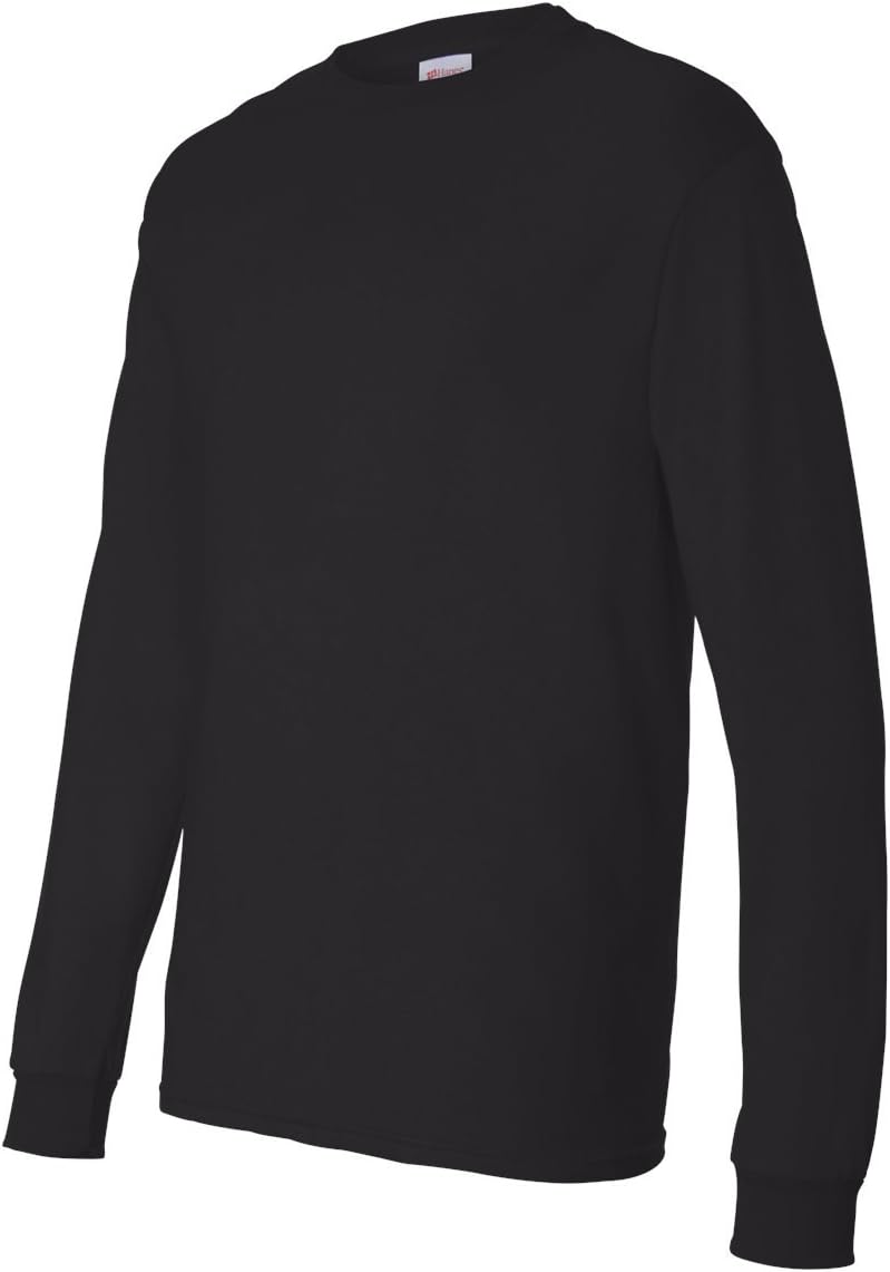 Hanes mens Essentials Long Sleeve T-shirt Value Pack (2-pack) Shirt (pack of 2)