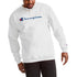 Champion mens Graphic Powerblend Fleece Crew Sweatshirt