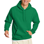 Hanes mens Pullover Ecosmart Hooded Sweatshirt P170 Hoody (pack of 1)