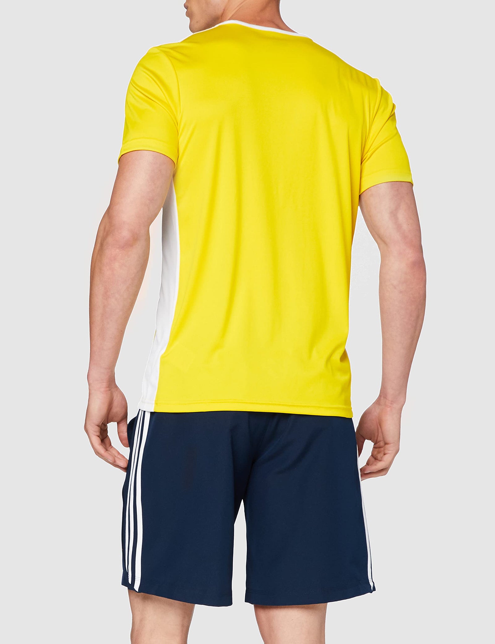 adidas Men's Entrada18 Jersey T-SHIRT