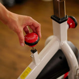 Sunny Health & Fitness Unisex Adult SF-B1509 Belt Drive Premium Indoor Cycling Bike - White,